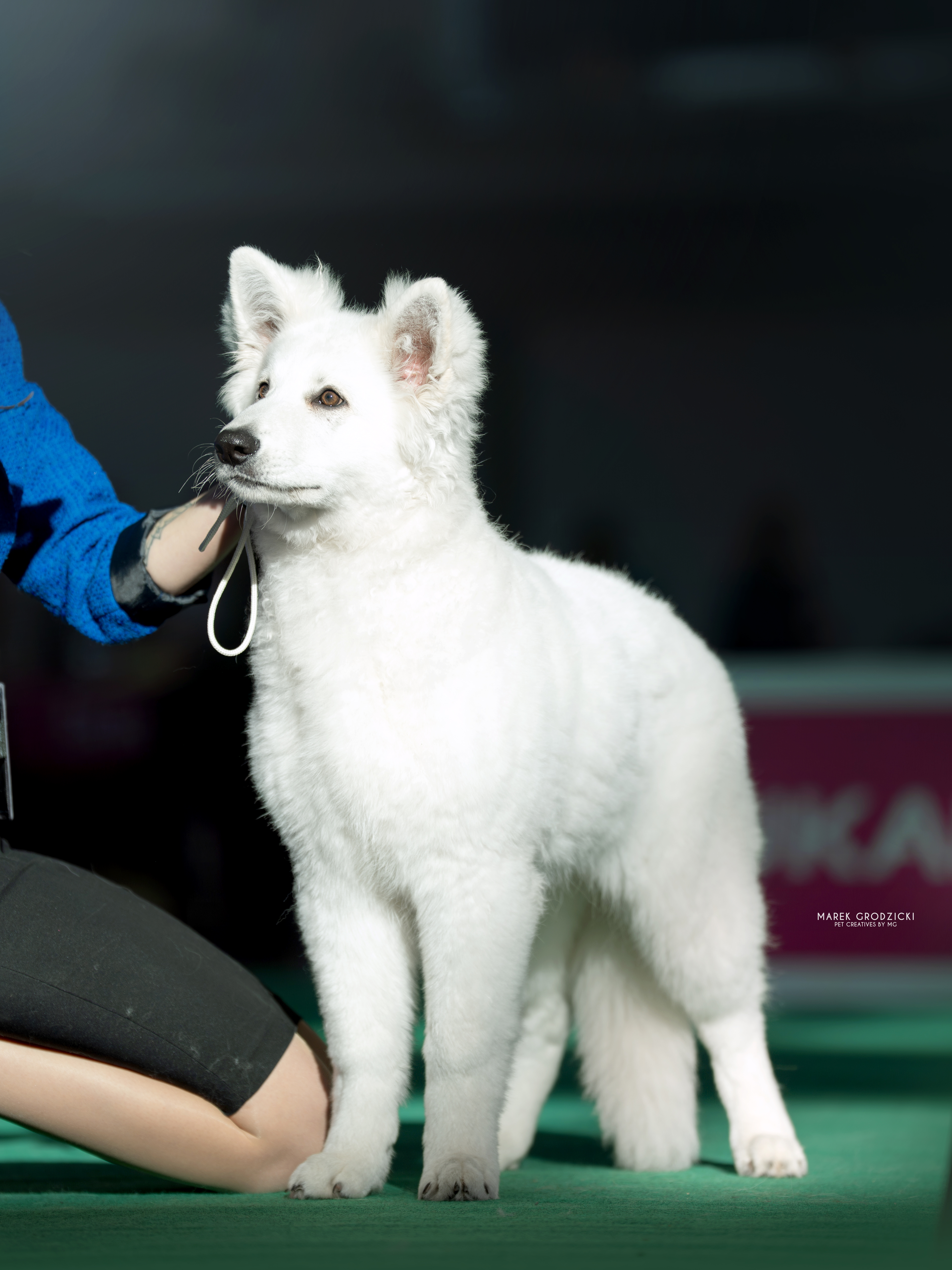 Elza z Julią - Poznań 2025